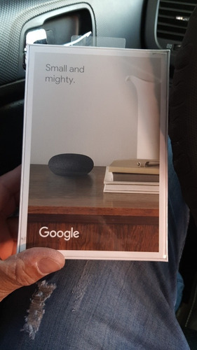 Google Nest Mini