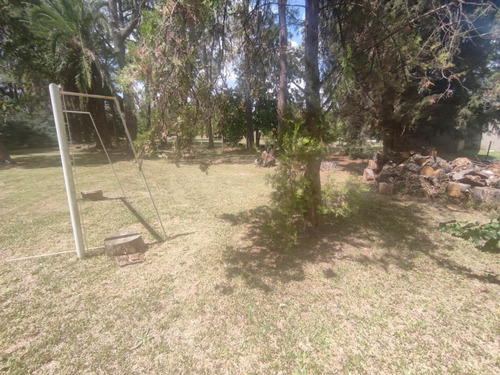 Imagen 18 de 30 de Hermosa Quinta Con Mucha Arboleda Añeja