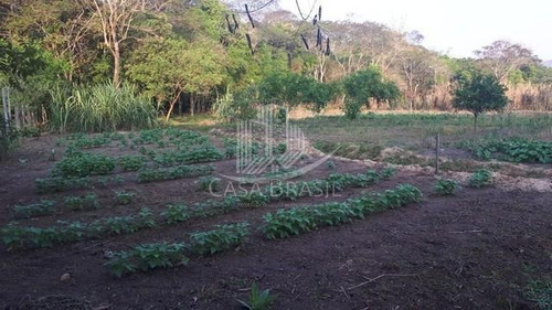 Imagem 5 de 10 de Chácara 11000m² Na Zona Leste, No Bairro Jardim Majestic - 3110