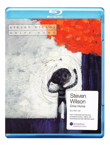 Steven Wilson - Drive Home