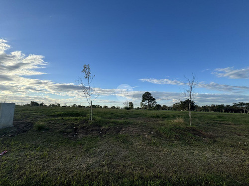 Venta Terreno Fase 3 En Olivos De Los Horneros