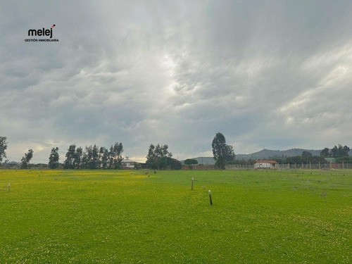 Venta Terrenos En Los Laureles, Limache