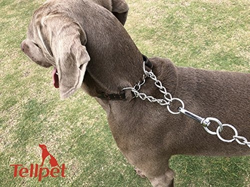 Imagen 6 de 7 de Collar De Estrangulador De Cuero Para Perro Martingala,