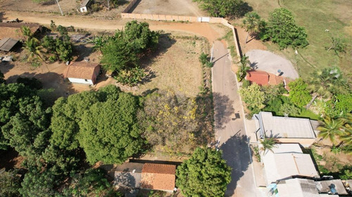 Imagem 4 de 14 de Terreno De 13.000m2 Com Duas Nascente E Murado