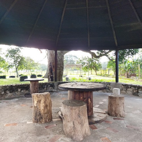 Vc Vende Terreno 10,3 Hectáreas Cocorote San Felipe Yaracuy