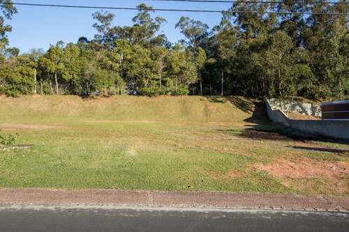 Terreno Em Belém Novo - Lu429223