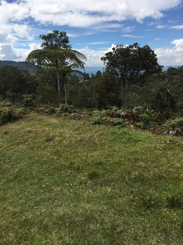 Lote En Vender En Medellín