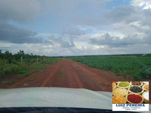 Imagem 4 de 15 de Fazenda À Venda Em Peixe - To - De 213 Alqueirões (agricultura) - 1700