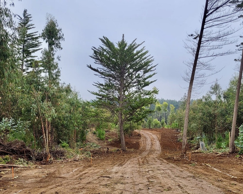 Sitios En Condominio Quebrada Küyen De Pichilemu