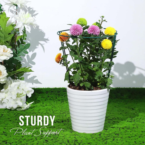 8pcs Apoyo Para La Planta Apotos Garden De Jardín 20cmx35cm