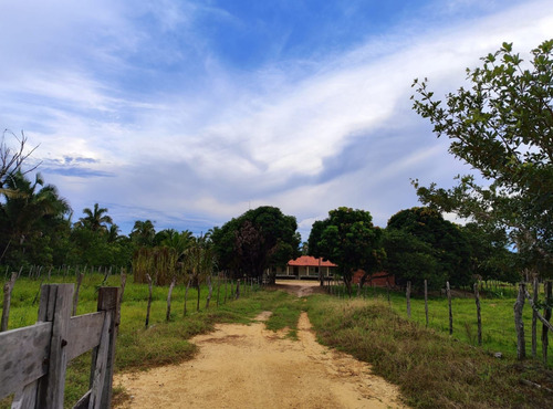 Terreno 61 Hectares Escriturado,à 23km Da Cidade-amarante Pi