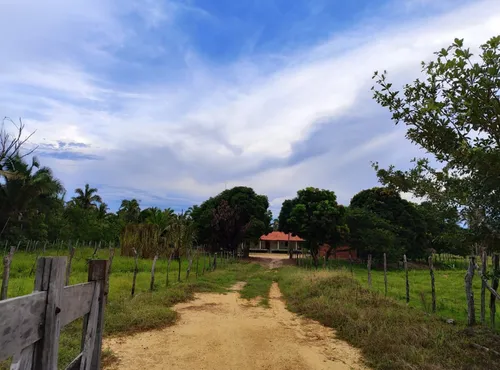 Terreno 61 Hectares Escriturado,à 23km Da Cidade-amarante Pi