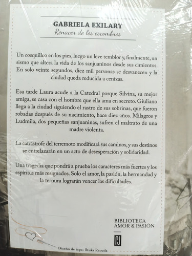 Libro Renacer De Los Escombros - Gabriela Exilart - Papel