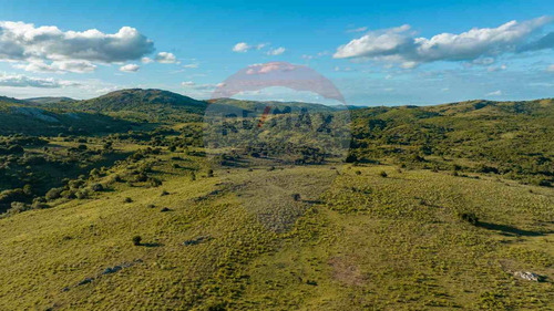 Venta Campo Ganadero Turístico 490 Has Maldonado