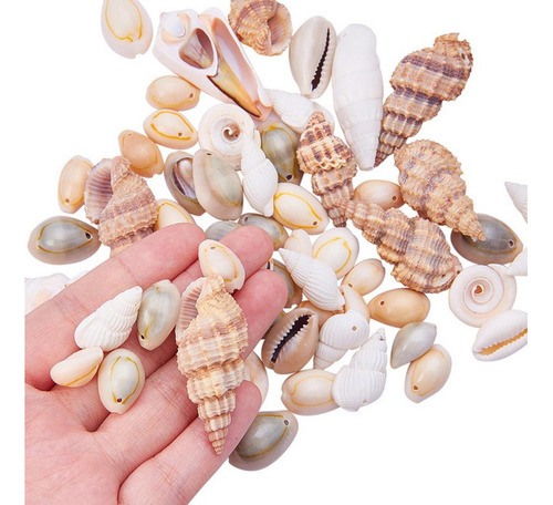Feitiços De Artesanato Para Conchas Na Praia Do Oceano