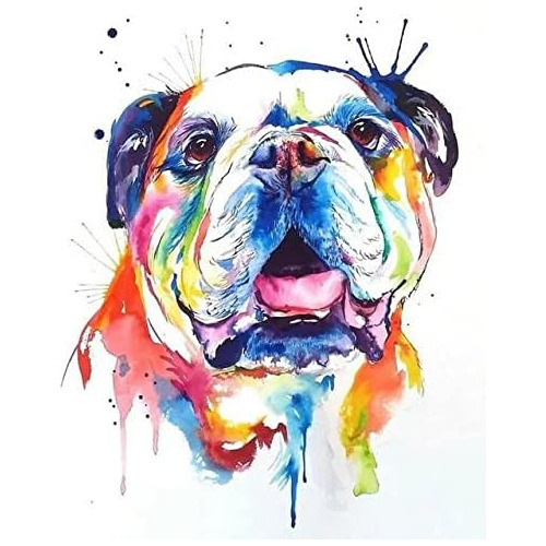 Kits De Pintura Diamantes Bulldog Inglés Adultos Talad...