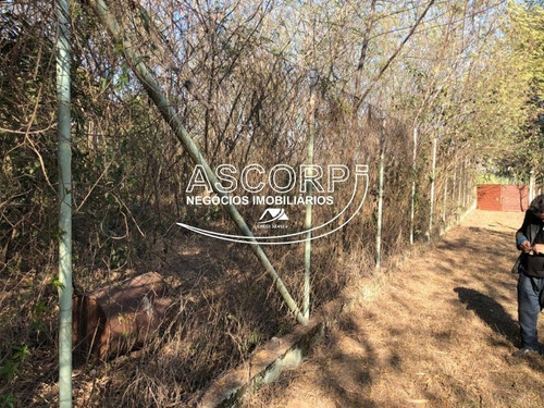 Imagem 3 de 22 de Ótimo Terreno Para Chácara No Ondinhas Em Piracicaba (código Ch00043) - Ch00043 - 69881080