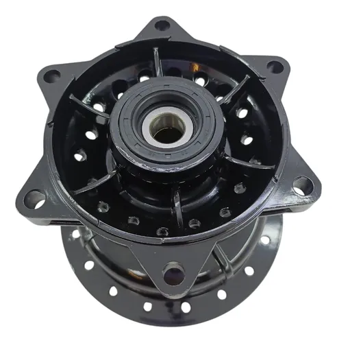 Campana Trasera Ts 125 Erz-l Completa Tipo Original
