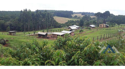 Chácara Com 5 Dormitórios À Venda, 36000 M² Por R$ 600.000,00 - Papua - Faxinal/pr - Ch0184
