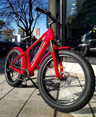 Imagen 6 de 22 de Bicicleta Ray -hs Surna 350w Litio Okm Ahora 12 - 18 V