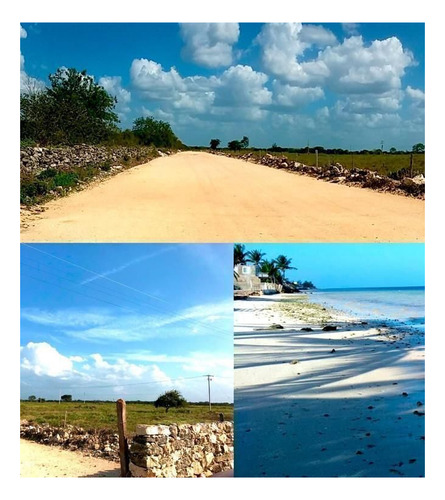 Imagen 2 de 17 de ¡oportunidad De Inversión En Mérida!