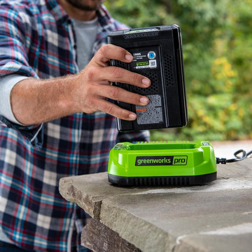 Cargador Estándar Pro 60v 3a
