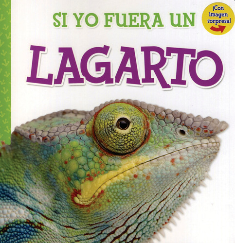 Si Yo Fuera Un Lagarto, de Gates, Laura. Serie Si Yo Fuera Un Pajaro Editorial Kidsbooks, tapa dura en español, 2017