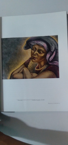 Libro De Arte Anguiano Intimo / R. Anguiano Y Beatriz Vidal (Usado)