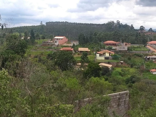 Imagem 5 de 15 de Terreno Para Venda - 209270