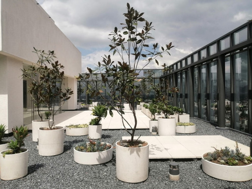 Imagen 4 de 15 de Oficinas En Venta En Rio San Joaquín, Ampliación Granada