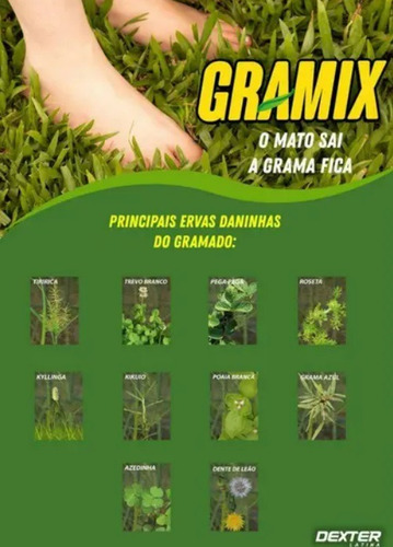 Gramix Seletivo 100ml Gramados Jardim