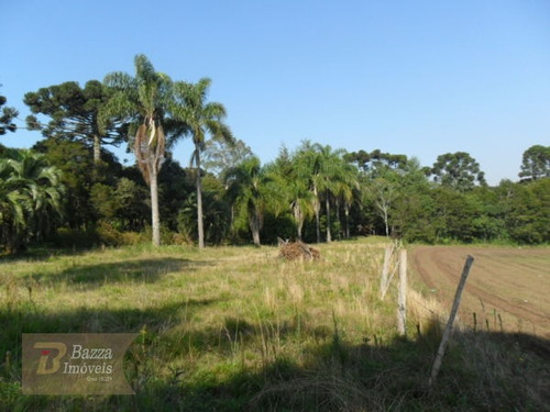 Imagem 6 de 16 de Rural Chacara Com 1 Quarto - 508-v