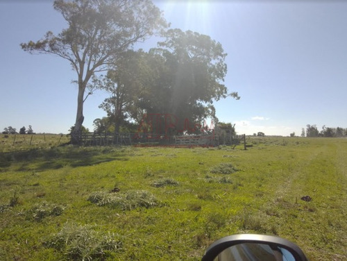 Imagen 6 de 15 de Venta,de Importante Campo En Roberto. J. Payro, Partido De Magdalena.