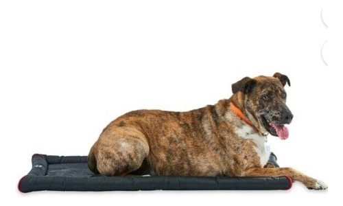 Cama De Perro Duradera Y Resistente Al Agua / 89x58 Centíme Negro Liso