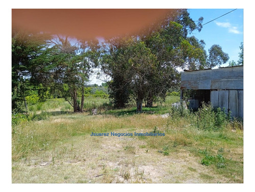 Imagen 5 de 22 de Js: Venta Excelente Chacra Abayuba Cw189854