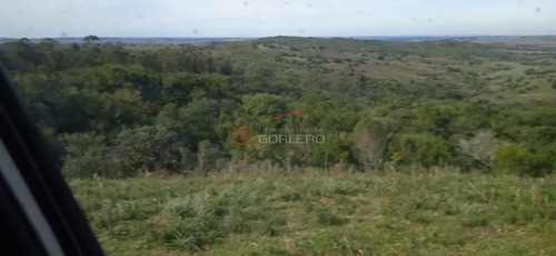 Espectacular Propiedad!! Venta De Campo En Rocha, 92 Hás Con Costa Y Casco Antiguo Reciclado