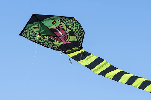 Joyin Cobra Kite Fácil De Volar Enorte Serpiente Cometa Para