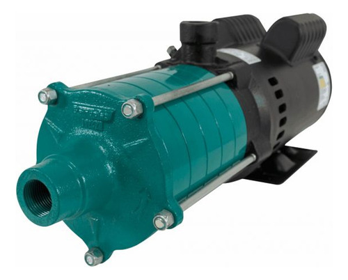 Motobomba Centrífuga Multiestágio 1,5 Cv 110/220v 4144.1 E
