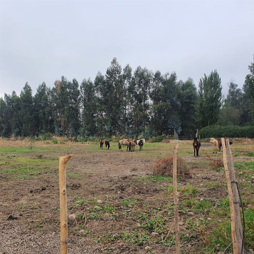 Excelente Terreno En Sector Roma San Fernando