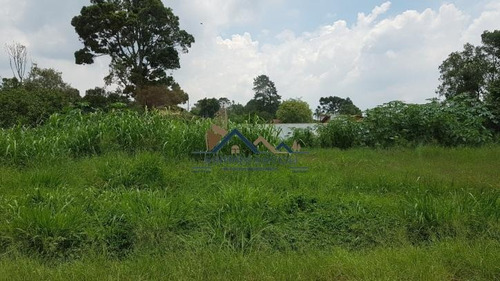 Imagem 8 de 15 de Terreno Plano Em Condomínio Alto Padrão No Km 39 Da Raposo - 342