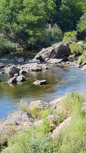 Imagen 3 de 8 de En Traslasierras, Salsacate, Se Vende 100 Ha. Con 300 Mts. De Arroyo Y Arboleda Centenaria, Ideal Parquizar, Descanso, Permacultura, Producción De Nueces Y Frutas. Trekking, Mountain Bike, Cabalgatas.