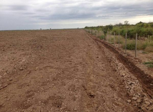 Permuta Campo Por Inmuebles En Cordoba 