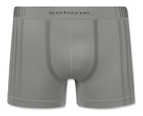 Imagem 8 de 10 de Kit 5 Cuecas Boxers Selene Sem Costura Em Poliamida