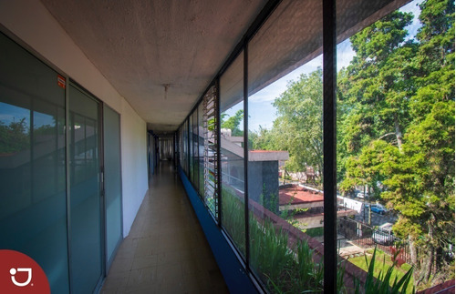 Imagen 9 de 30 de Edificio En Venta En El Centro De Xalapa