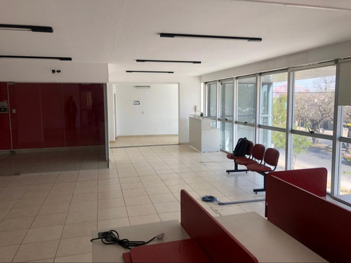 Imagen 3 de 5 de Alquiler Oficina 240mts2 Sobre Rafael Nuñez