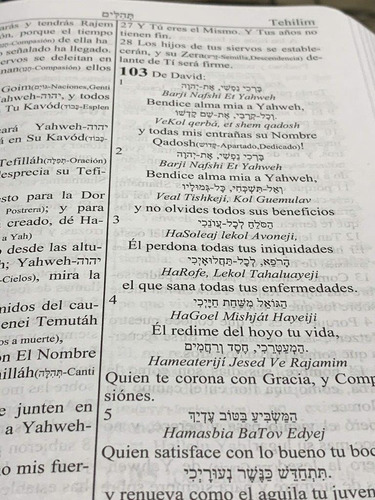 Imagen 8 de 10 de Escrituras Sefer Davar Edición 2023