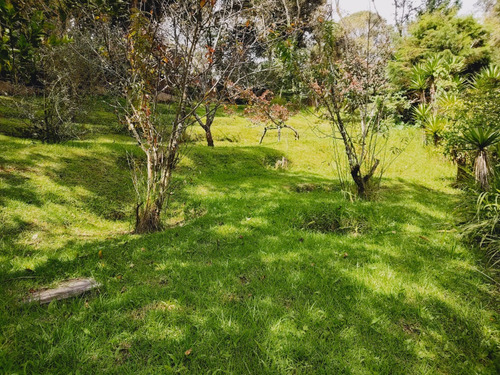 Imagen 22 de 30 de Vendo Bonita Granja, Media Manzana De Terreno, Ubicada A Orilla De Carretera Pavimentada, Muy Cerca De San Lucas Sacatepequez
