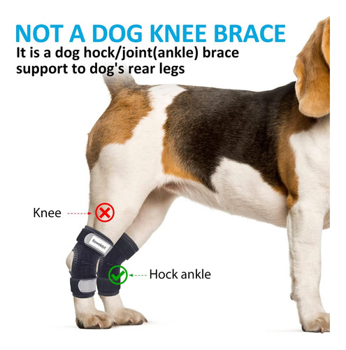 Bawektrl Soporte Para Patas De Perro Para Patas Traseras, De