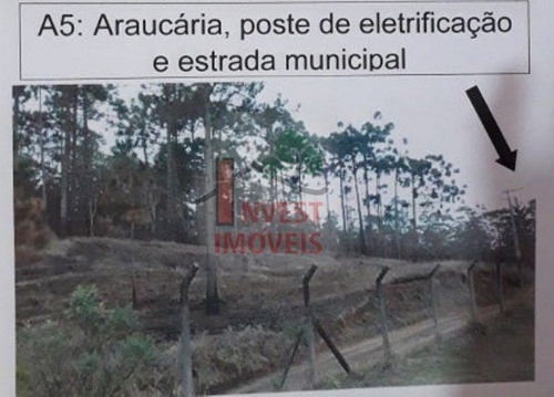 Imagem 5 de 6 de Area - Ref: 3457 - V-3457