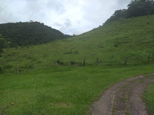 Fazenda 66 Alqueires - Juquitiba-sp - Fa00003 - 34856184